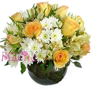 Silvestres Amarillas