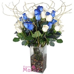 Nido de Rosas Azules