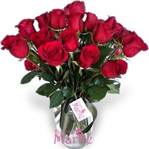 Samaritano 24 Rosas Rojas