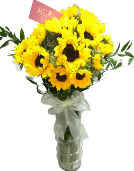 Cilíndrico de Girasoles