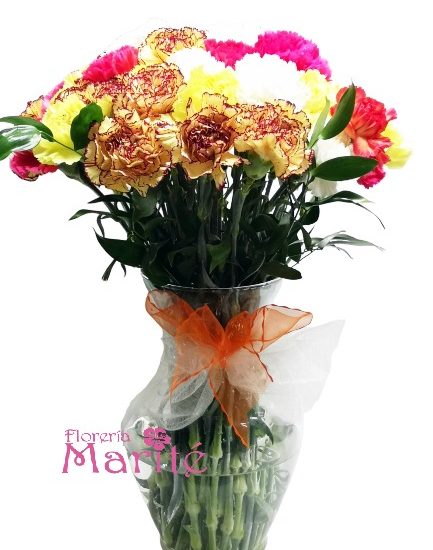 Samaritano de Claveles