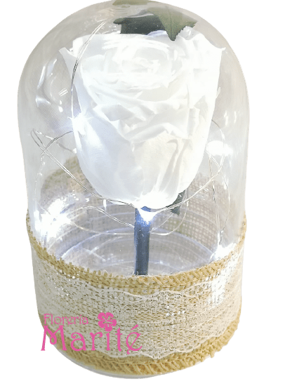 Luz Encantada Blanca