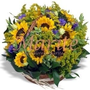 Canasta Lisianthus y Girasoles