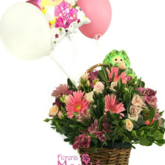 Nueva Princesa de minirosas