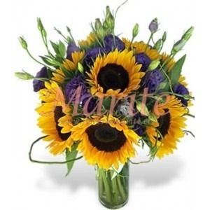 Ensueño de Girasoles