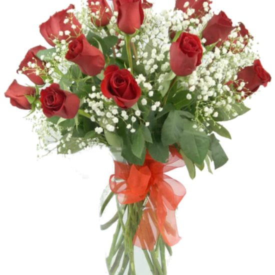 Samaritano de Ilusiones