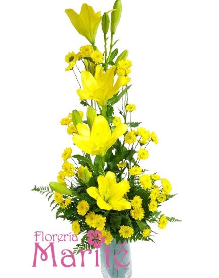 Cilindrico de Lilium