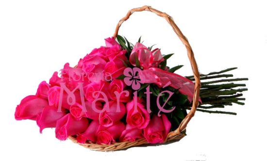 violetera-25_1
