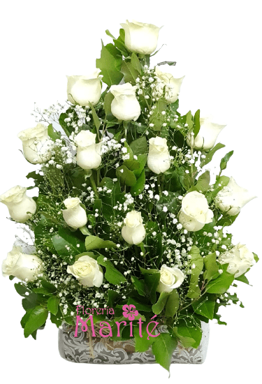 Piramidal Blanco e Ilusiones