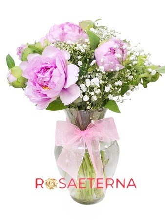 Pequeñas Peonias Silvestres