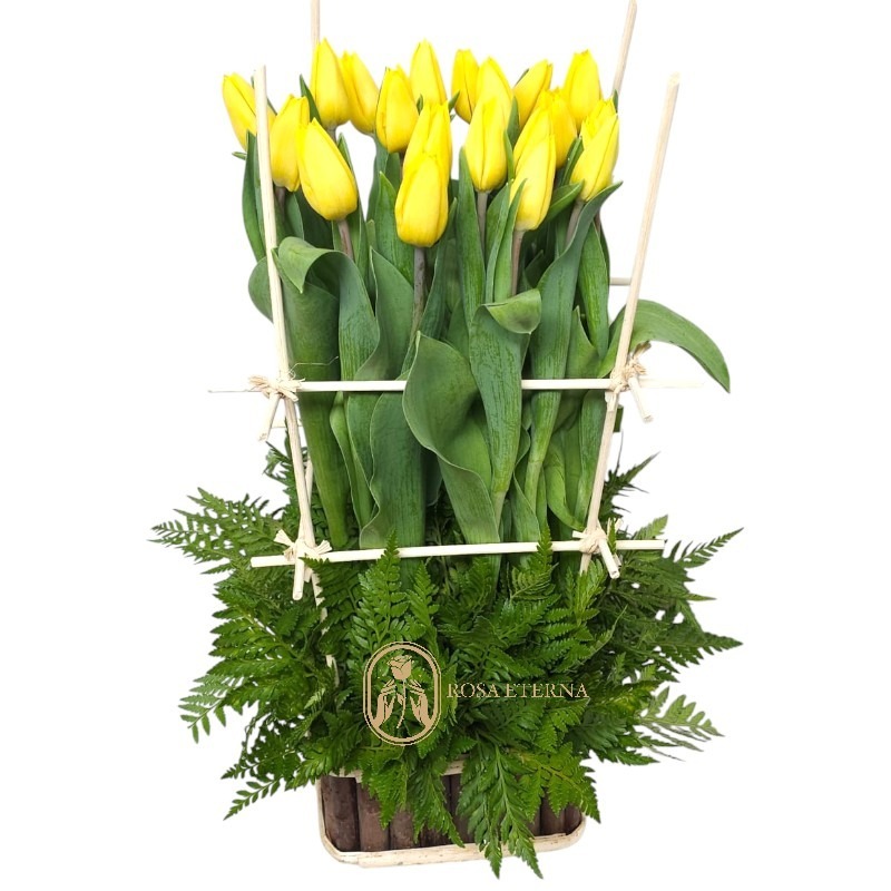 Jardin de tulipanes Amarillos